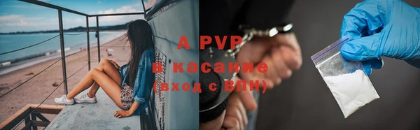 прущие грибы Балабаново
