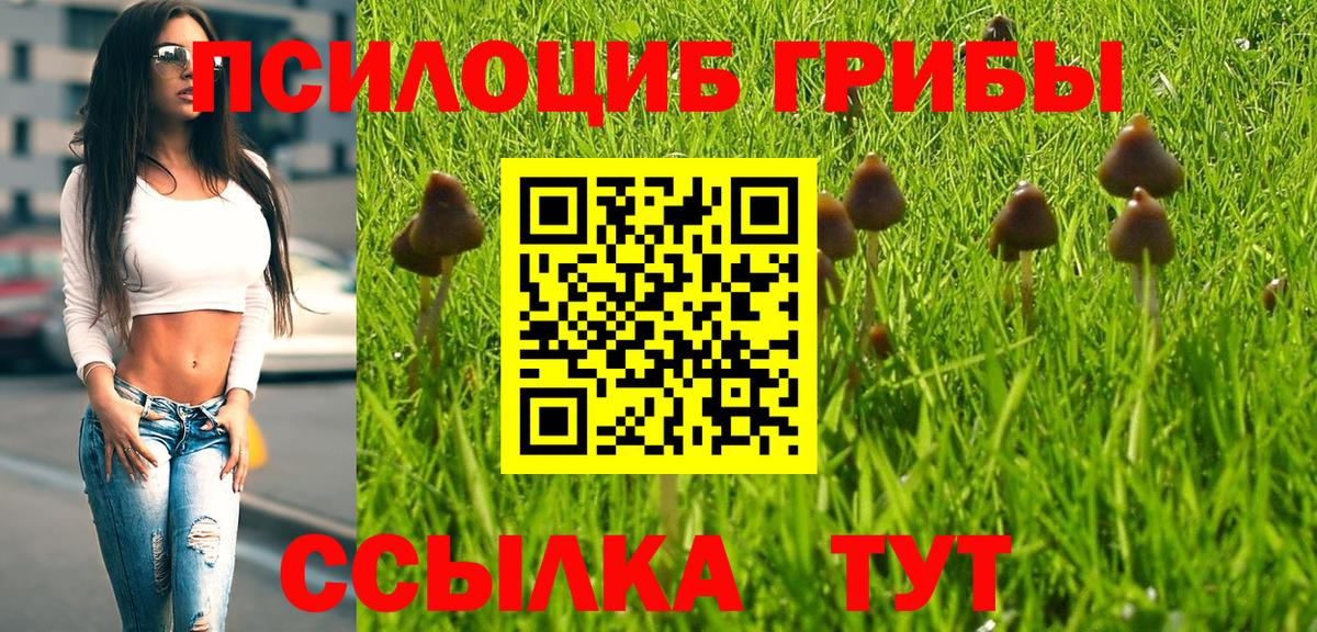 Галлюциногенные грибы мухоморы Новороссийск
