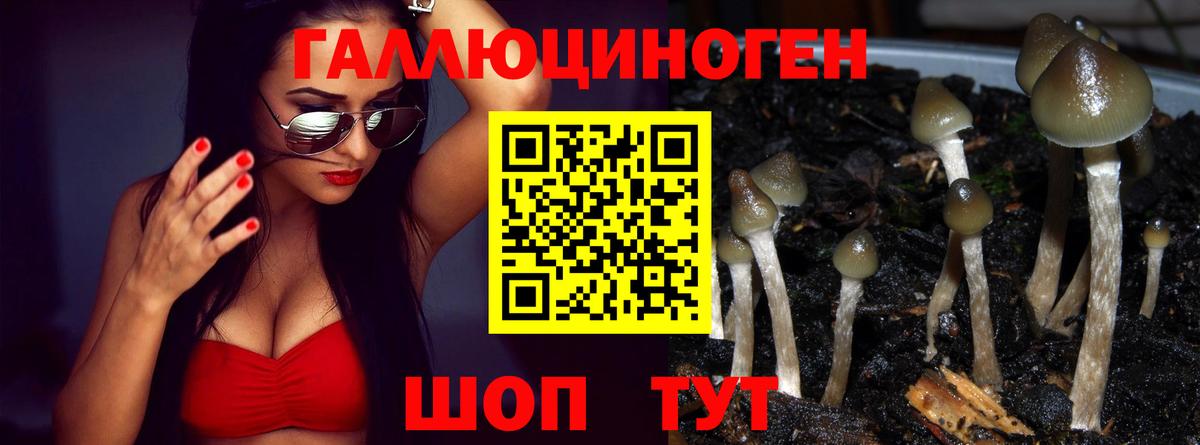 Галлюциногенные грибы MAGIC MUSHROOMS  Вход с VPN  Новороссийск 